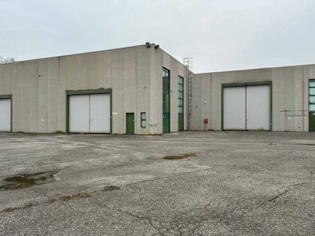 immagine annuncio 2 di 5