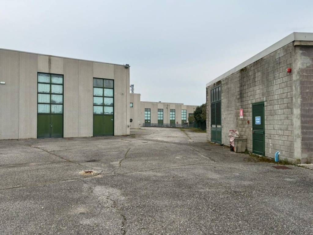 immagine annuncio 3 di 5