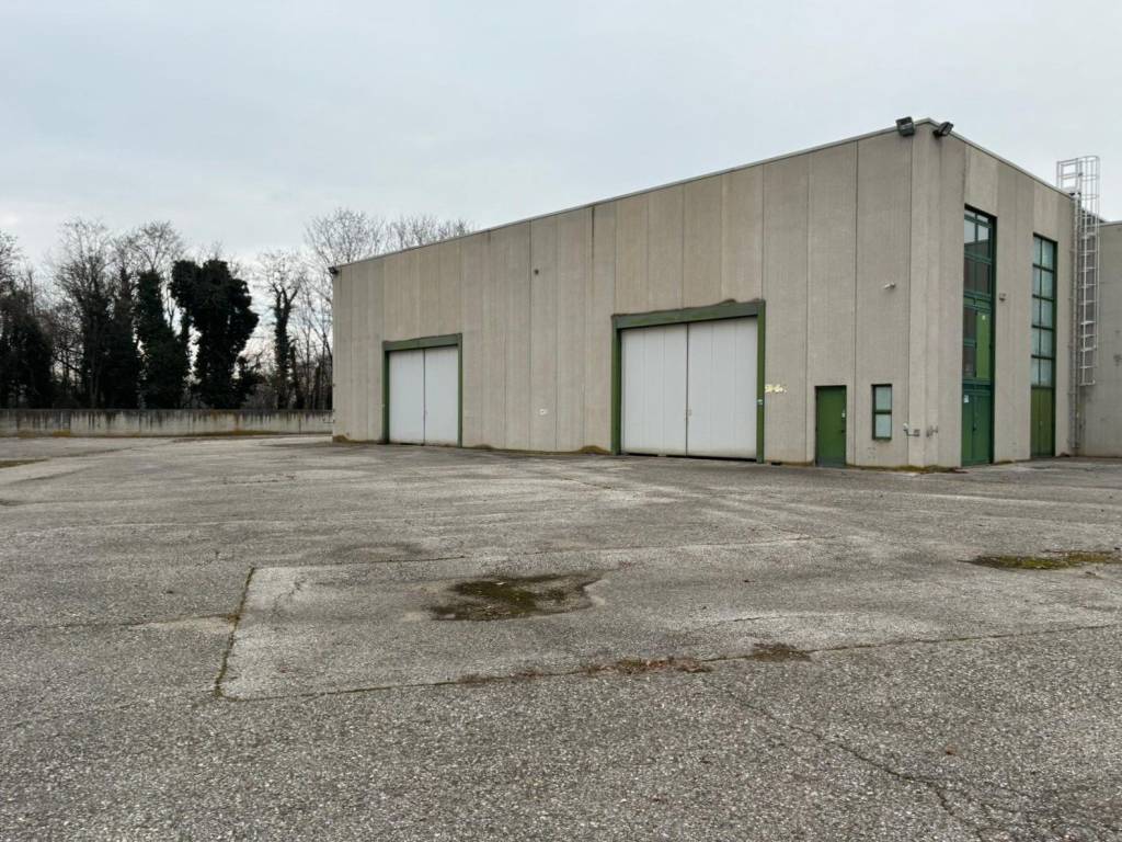 immagine annuncio 1 di 5