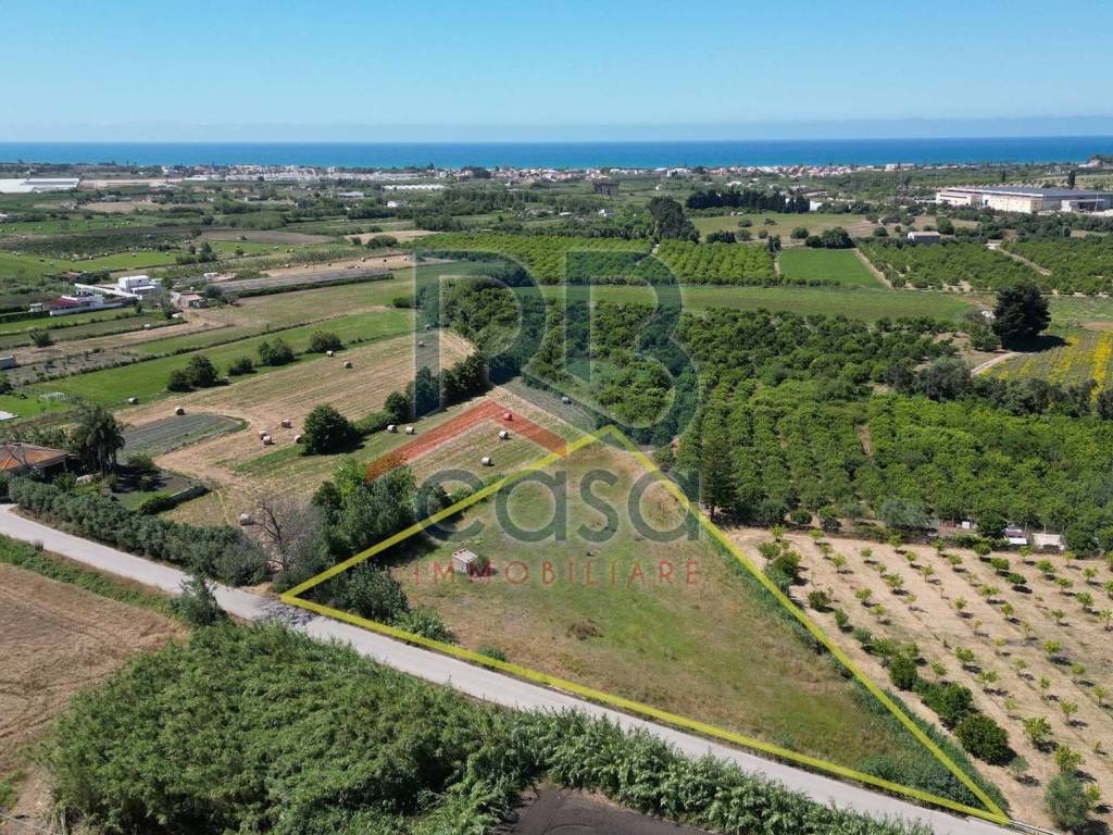 immagine annuncio 1 di 4