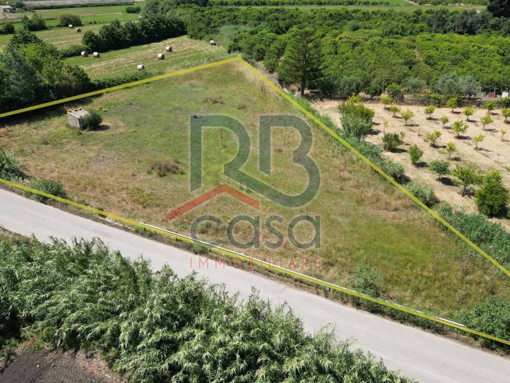 immagine annuncio 2 di 4