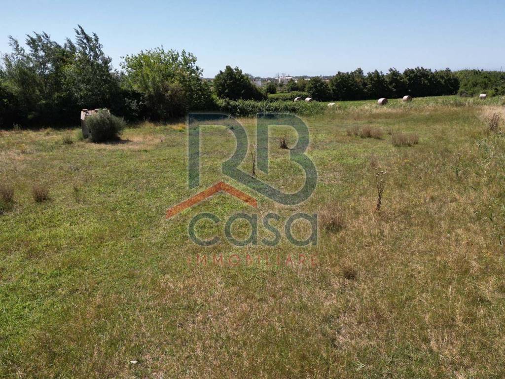 immagine annuncio 3 di 4