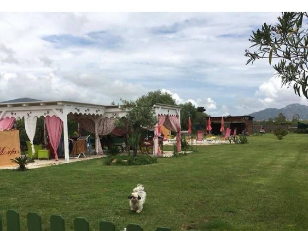 immagine annuncio 2 di 4