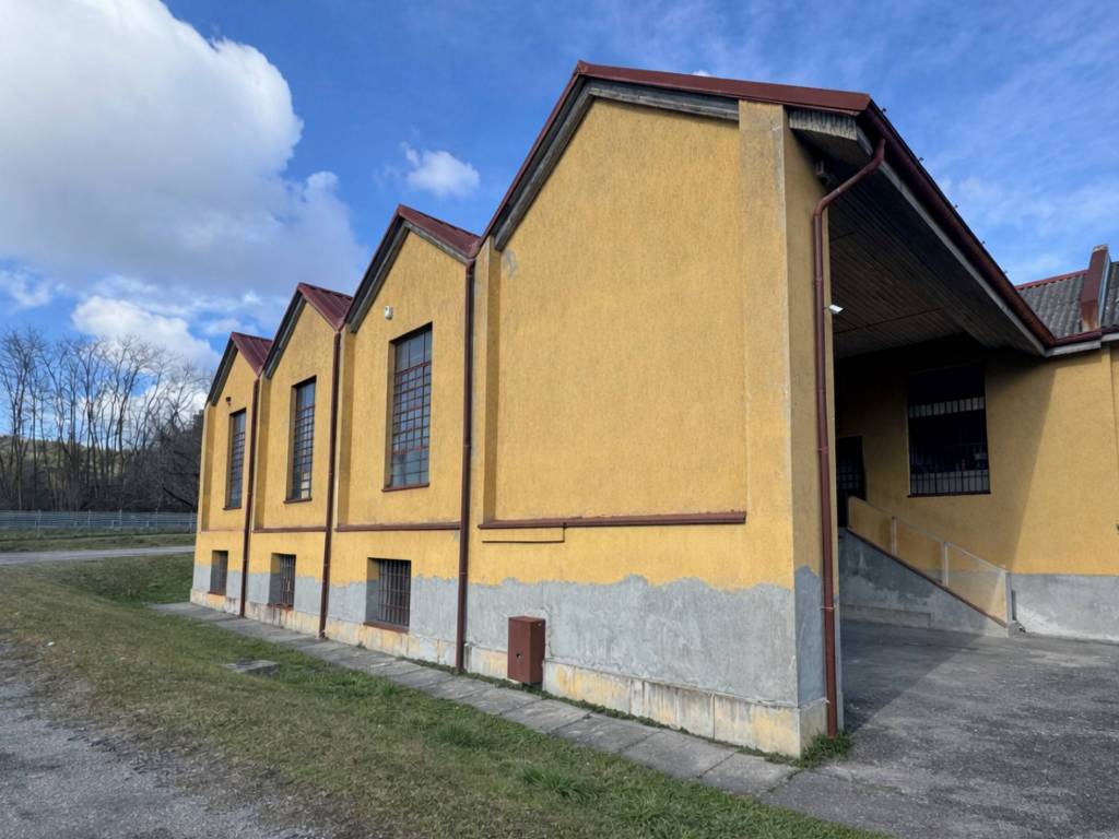 immagine annuncio 2 di 5