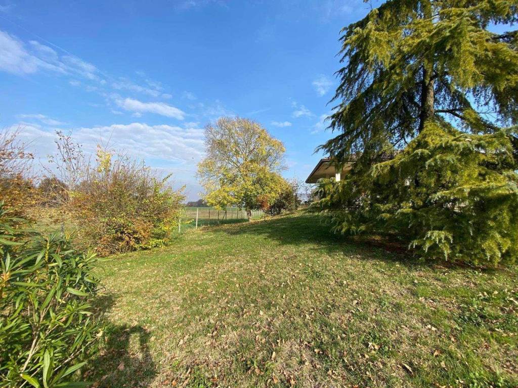 immagine annuncio 0 di 1