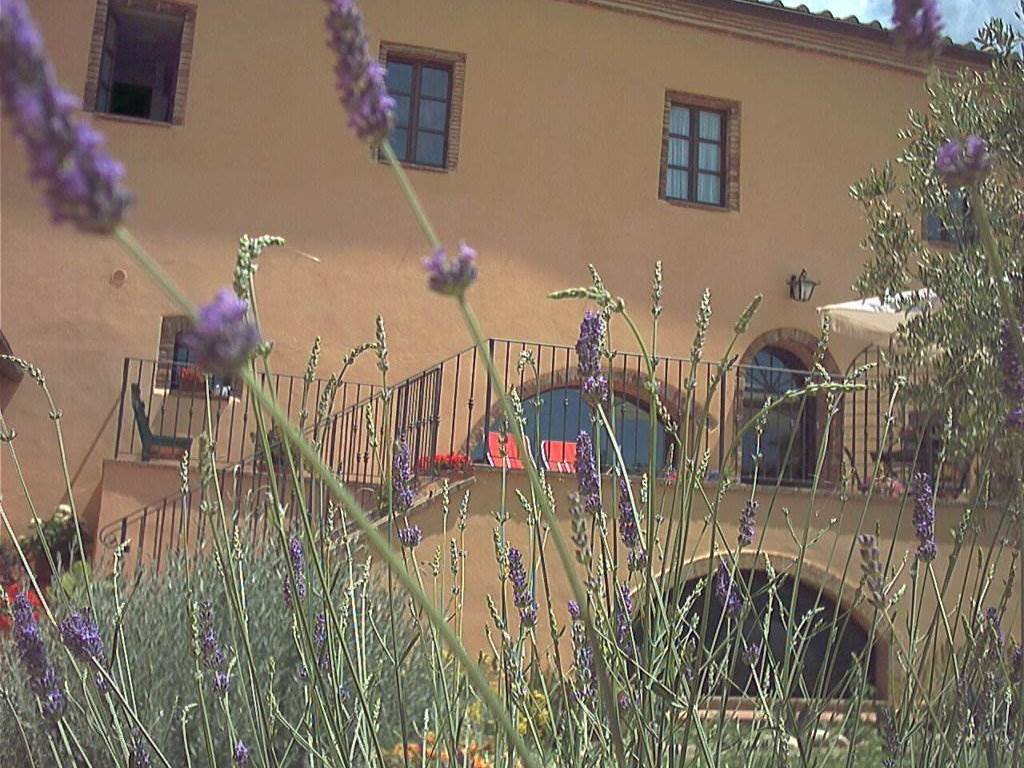 casa indipendente in vendita a Campagnatico