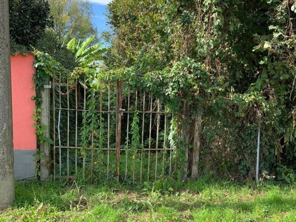 immagine annuncio 1 di 3