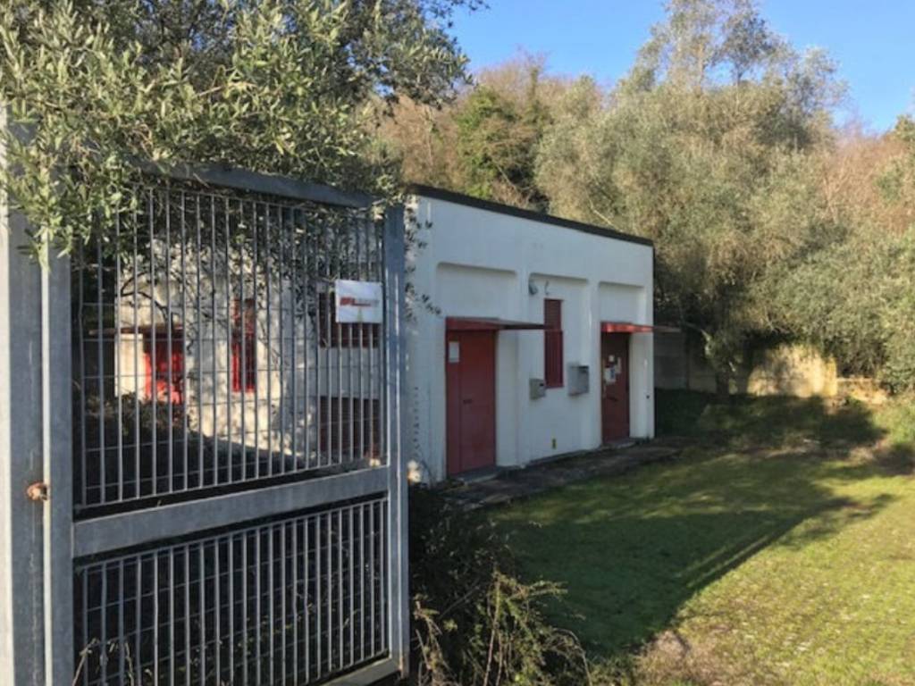 immagine annuncio 2 di 4