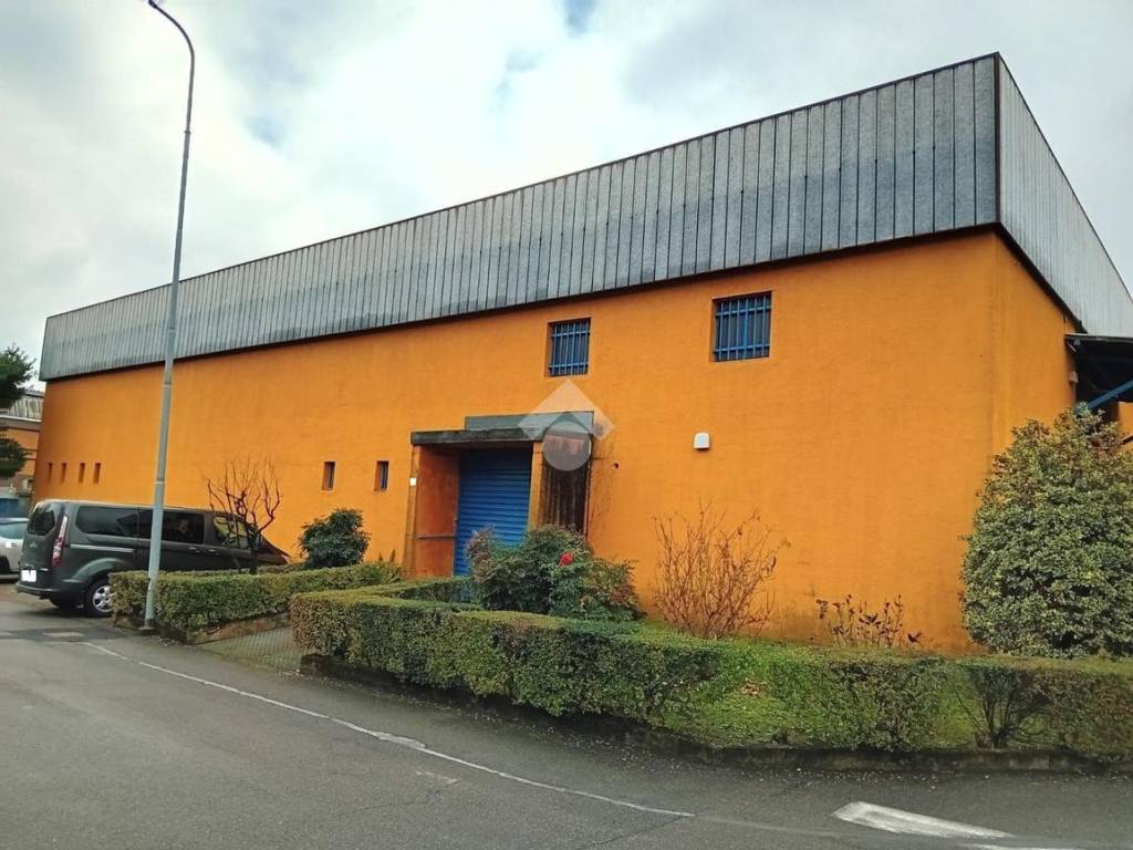 immagine annuncio 4 di 5