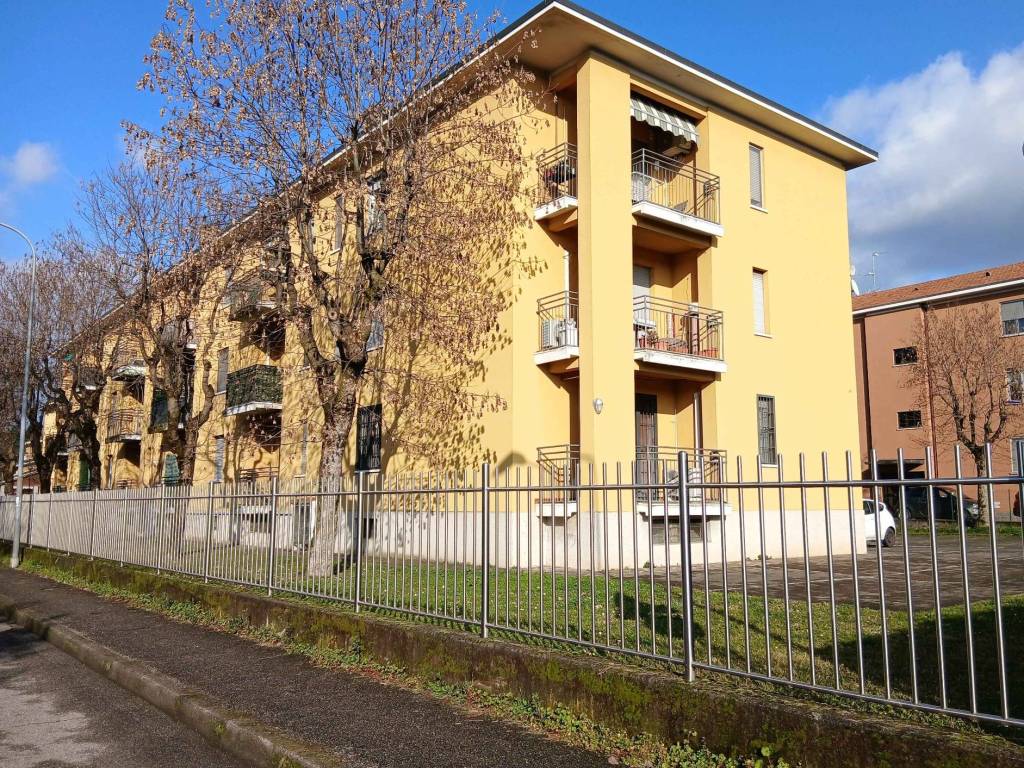 immagine annuncio 3 di 5