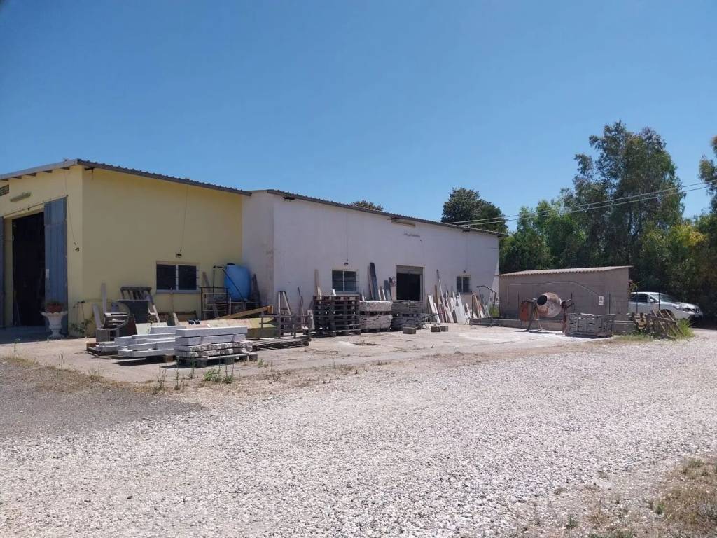 immagine annuncio 1 di 5