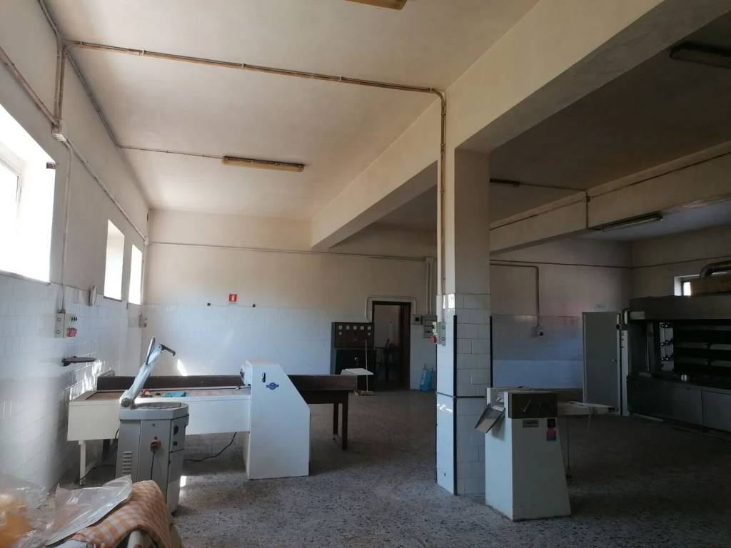 immagine annuncio 1 di 2