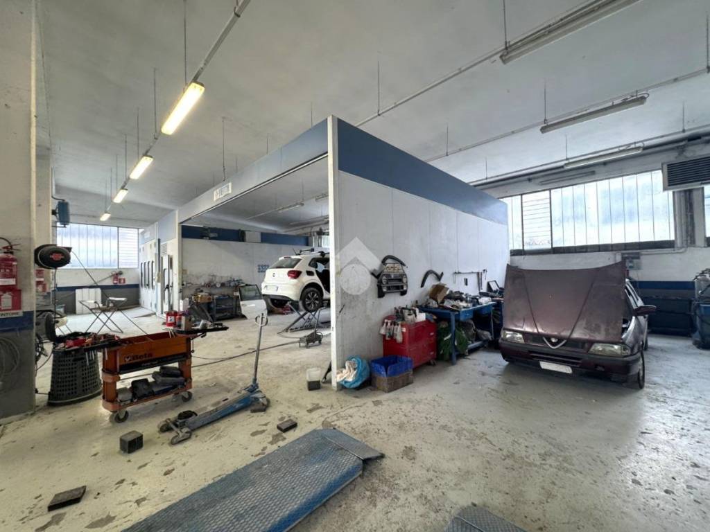 immagine annuncio 3 di 5