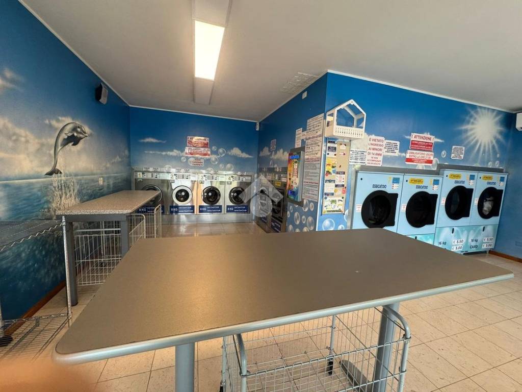 immagine annuncio 3 di 5