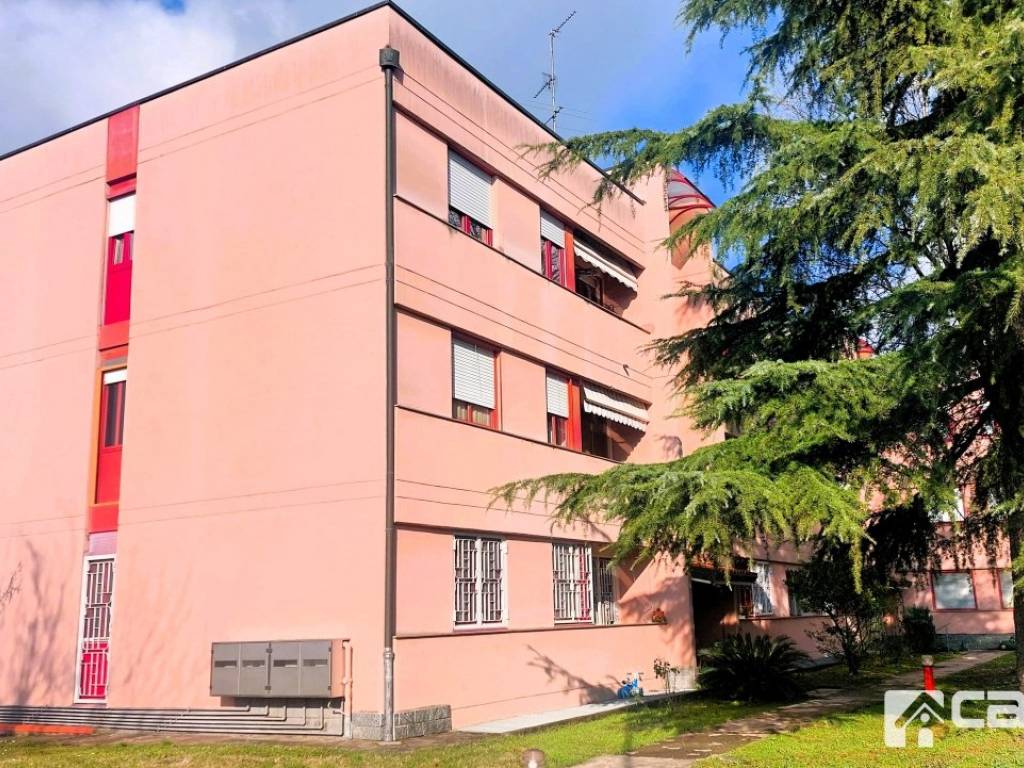 immagine annuncio 2 di 5