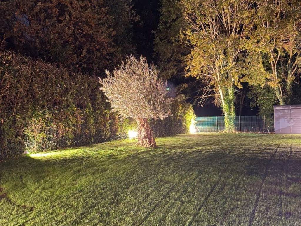 immagine annuncio 1 di 4