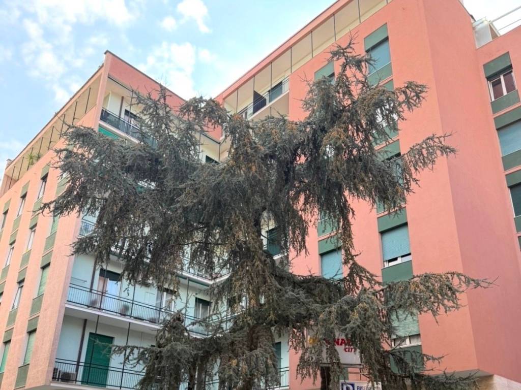 immagine annuncio 2 di 4