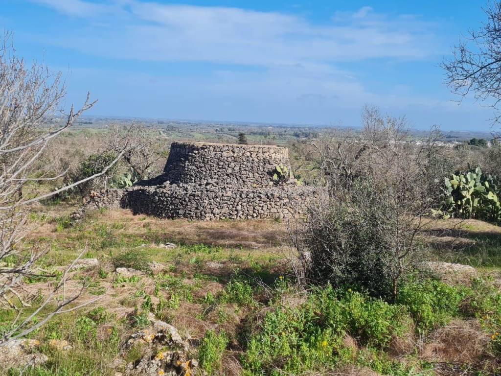 immagine annuncio 1 di 3