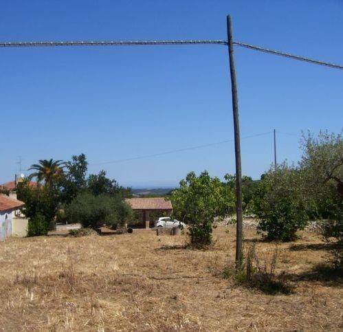 immagine annuncio 1 di 3