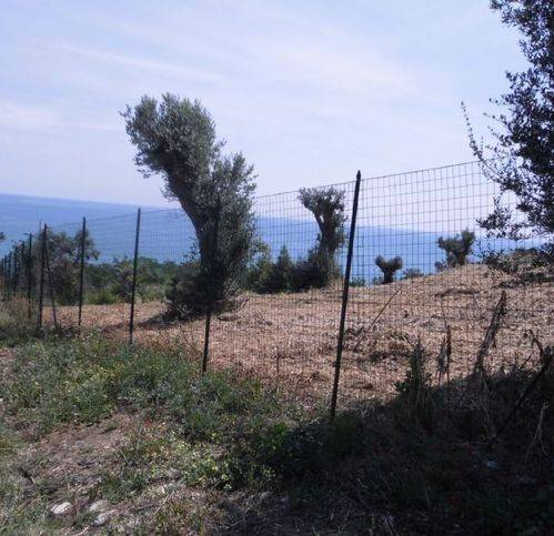 immagine annuncio 2 di 4