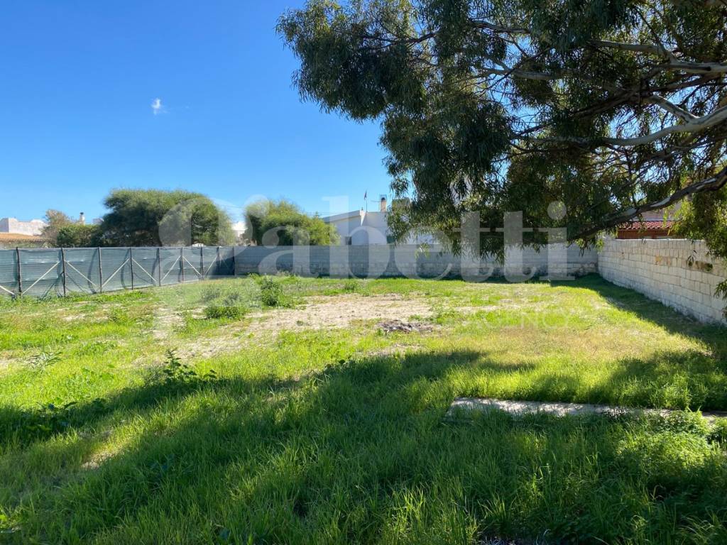 immagine annuncio 3 di 4