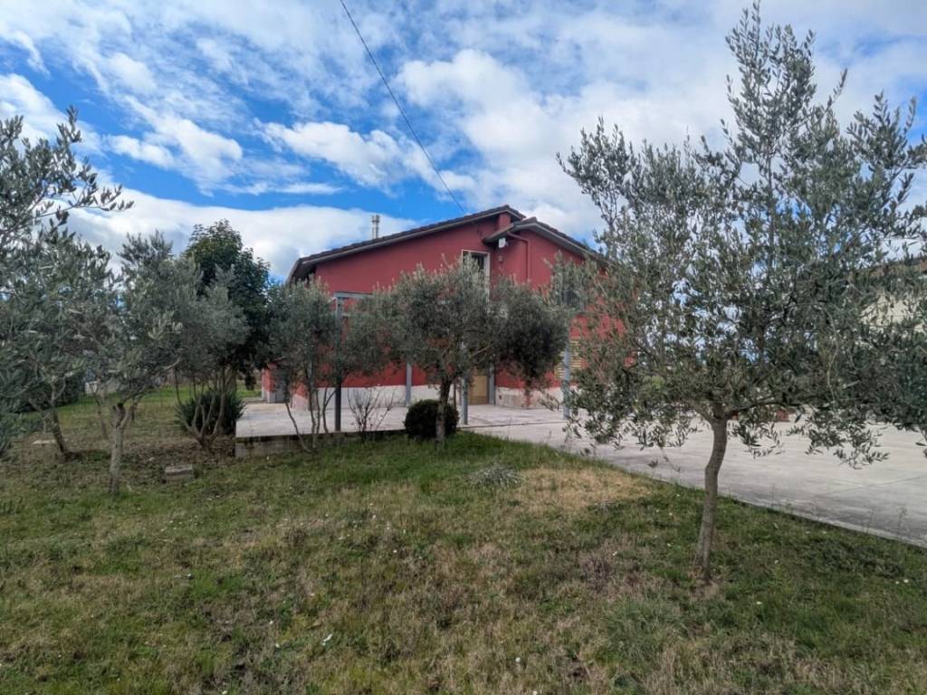 immagine annuncio 3 di 5