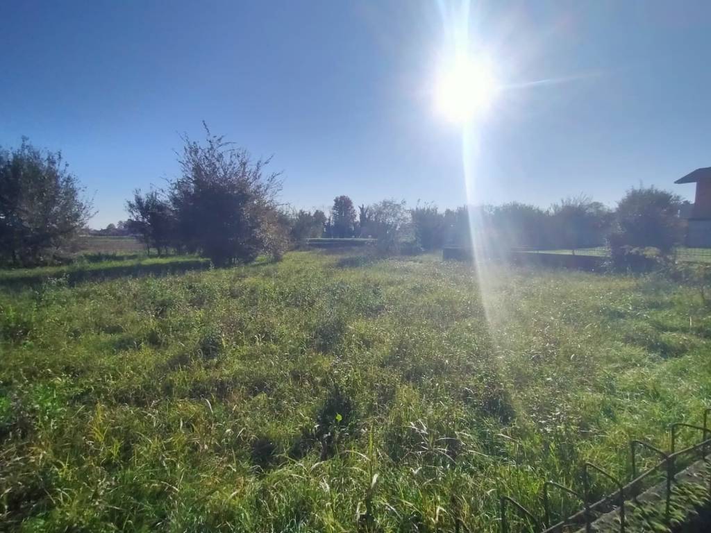 immagine annuncio 1 di 4