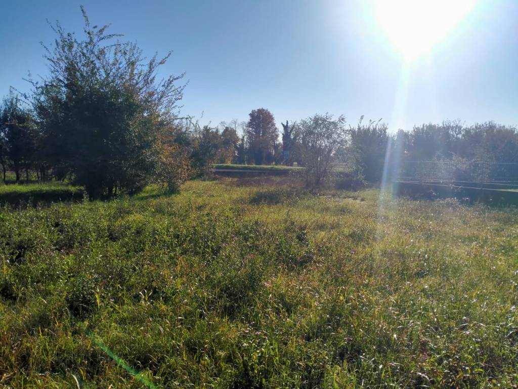 immagine annuncio 2 di 4