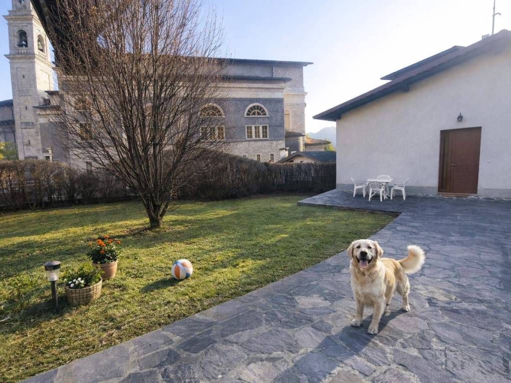 immagine annuncio 1 di 5