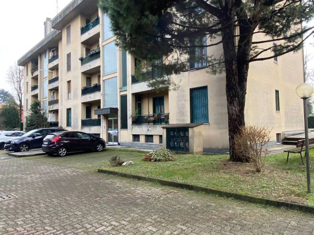 immagine annuncio 3 di 5