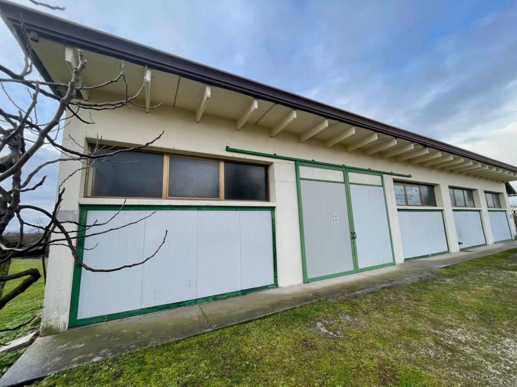 immagine annuncio 2 di 4