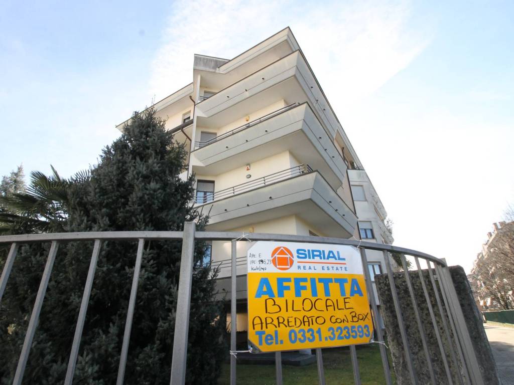 immagine annuncio 4 di 5