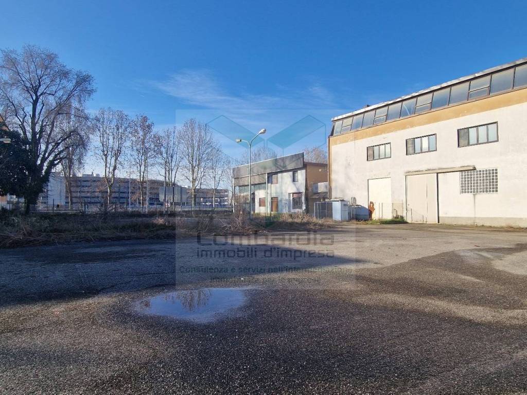 immagine annuncio 4 di 5