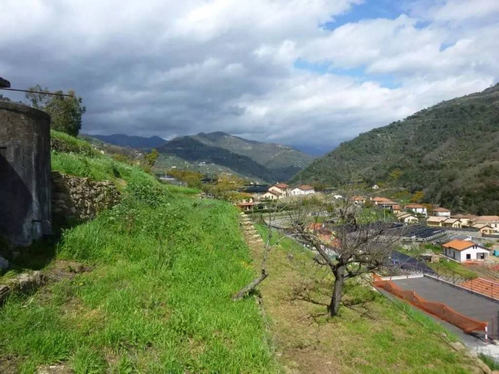 immagine annuncio 1 di 3