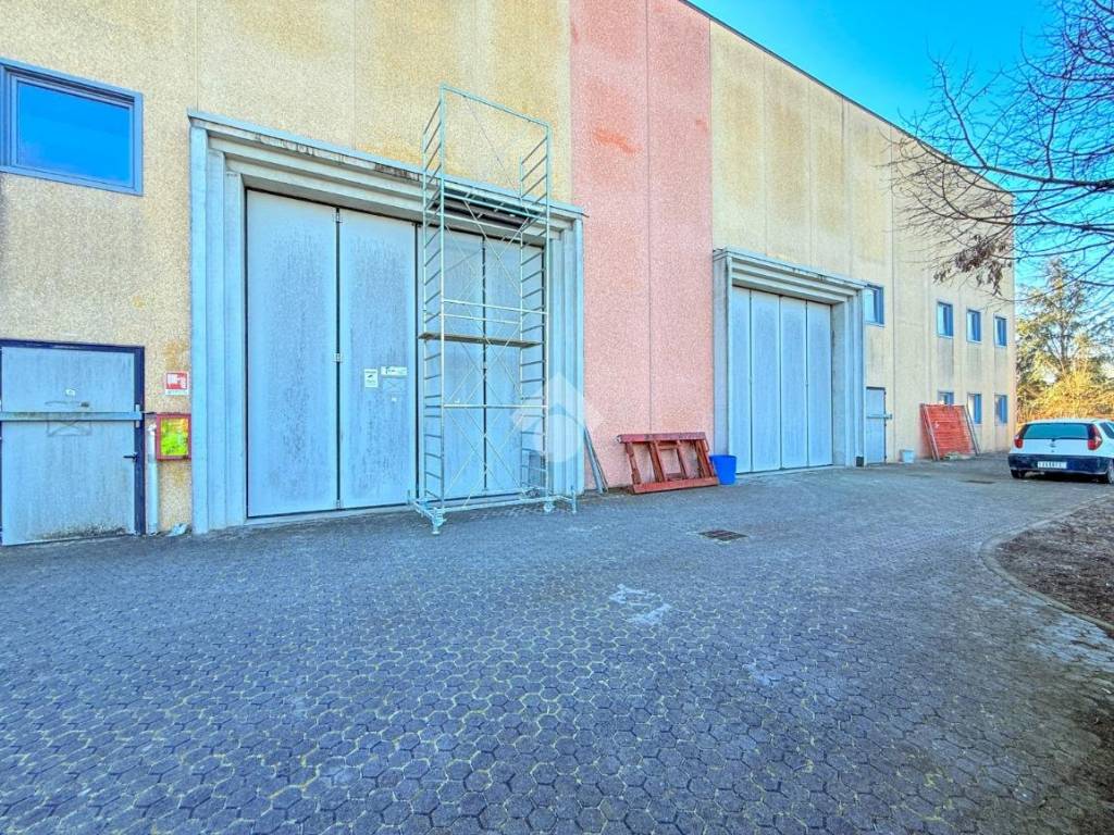 immagine annuncio 1 di 5