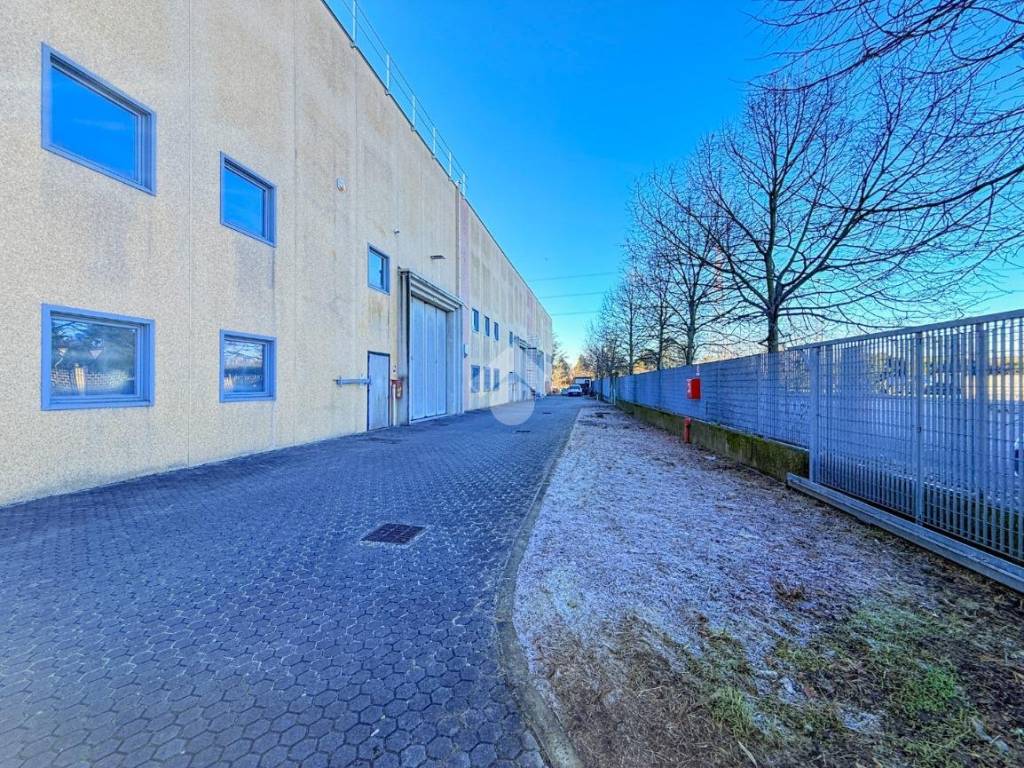 immagine annuncio 2 di 5