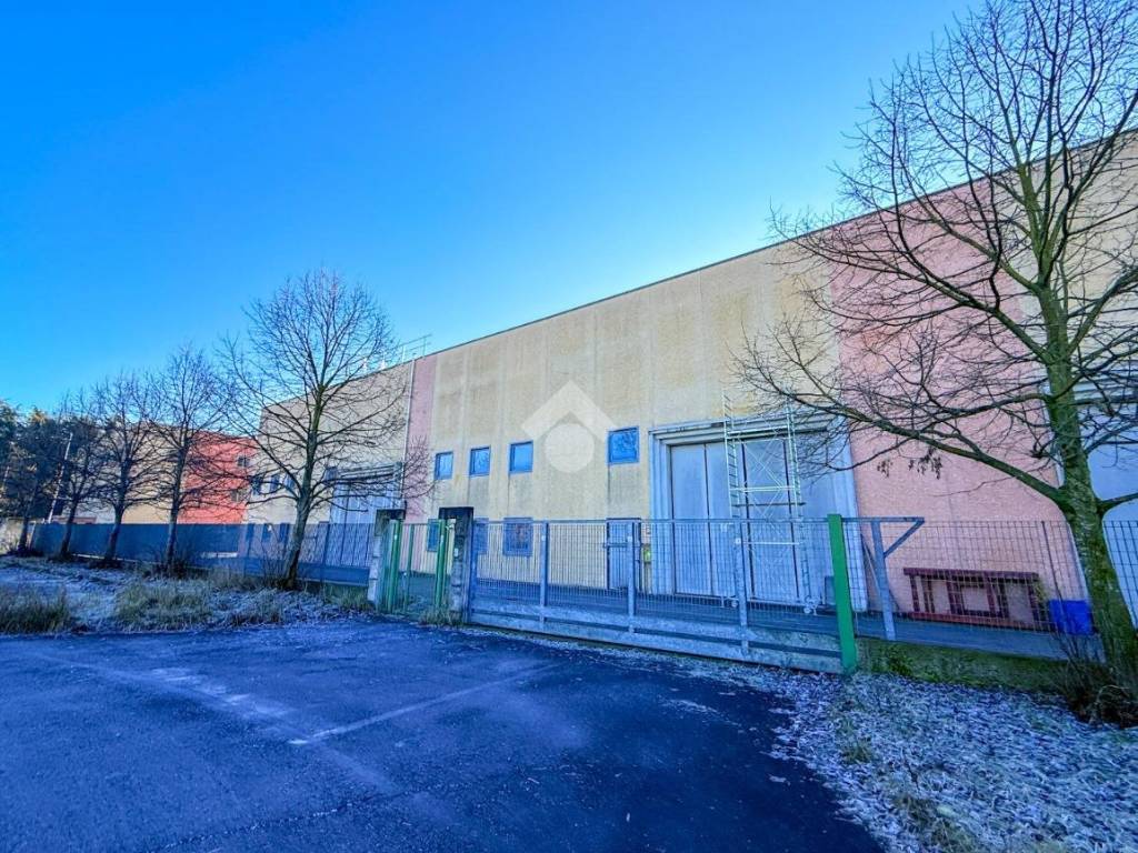 immagine annuncio 3 di 5