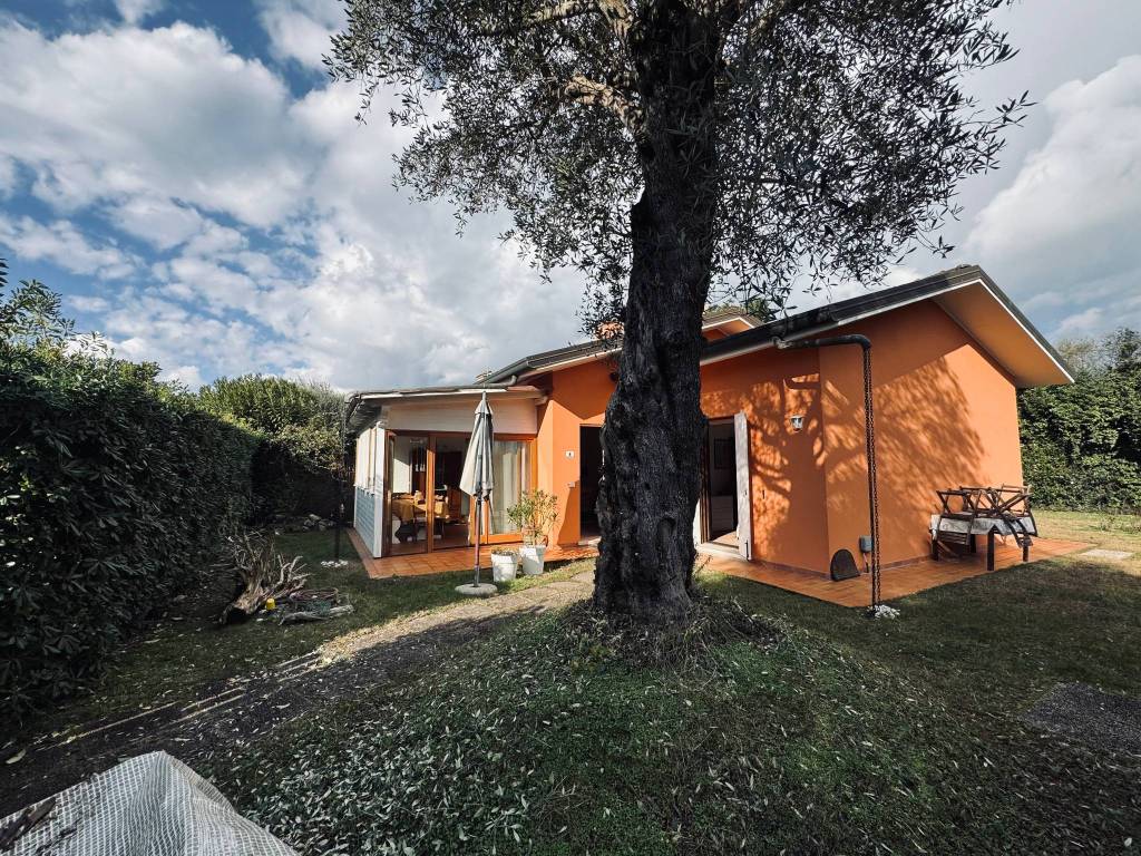 immagine annuncio 2 di 5