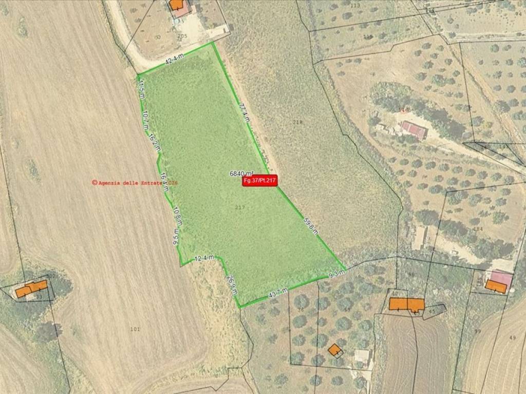 immagine annuncio 3 di 4