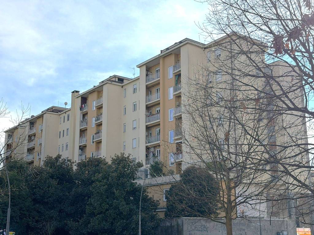 immagine annuncio 2 di 3