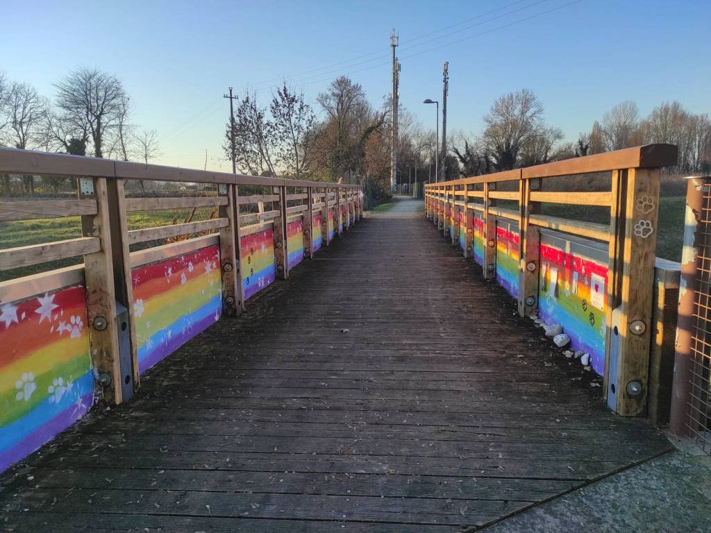 immagine annuncio 3 di 5