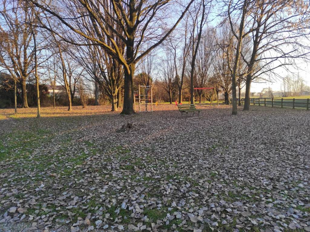 immagine annuncio 4 di 5