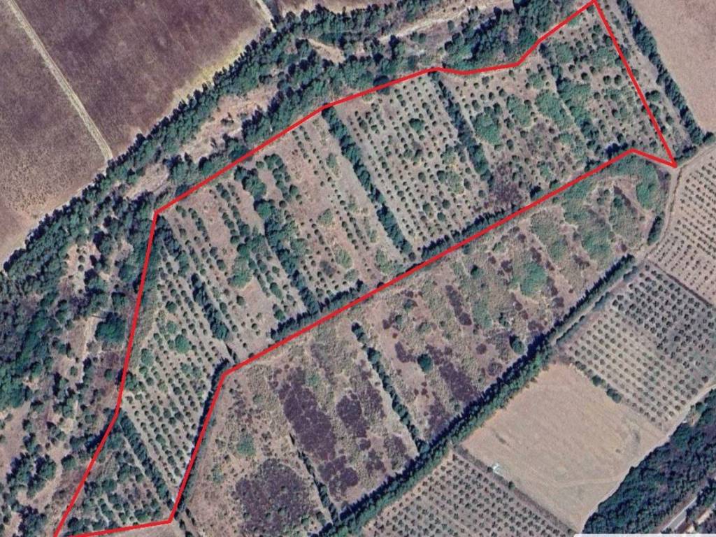 immagine annuncio 1 di 2