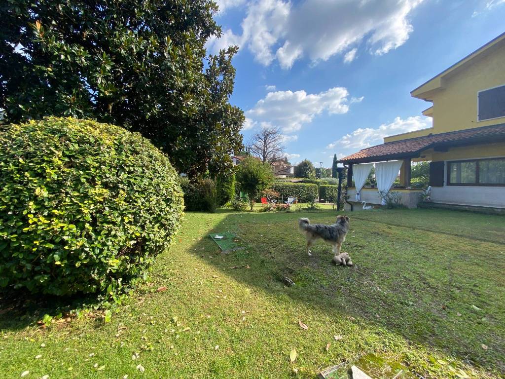 immagine annuncio 3 di 5