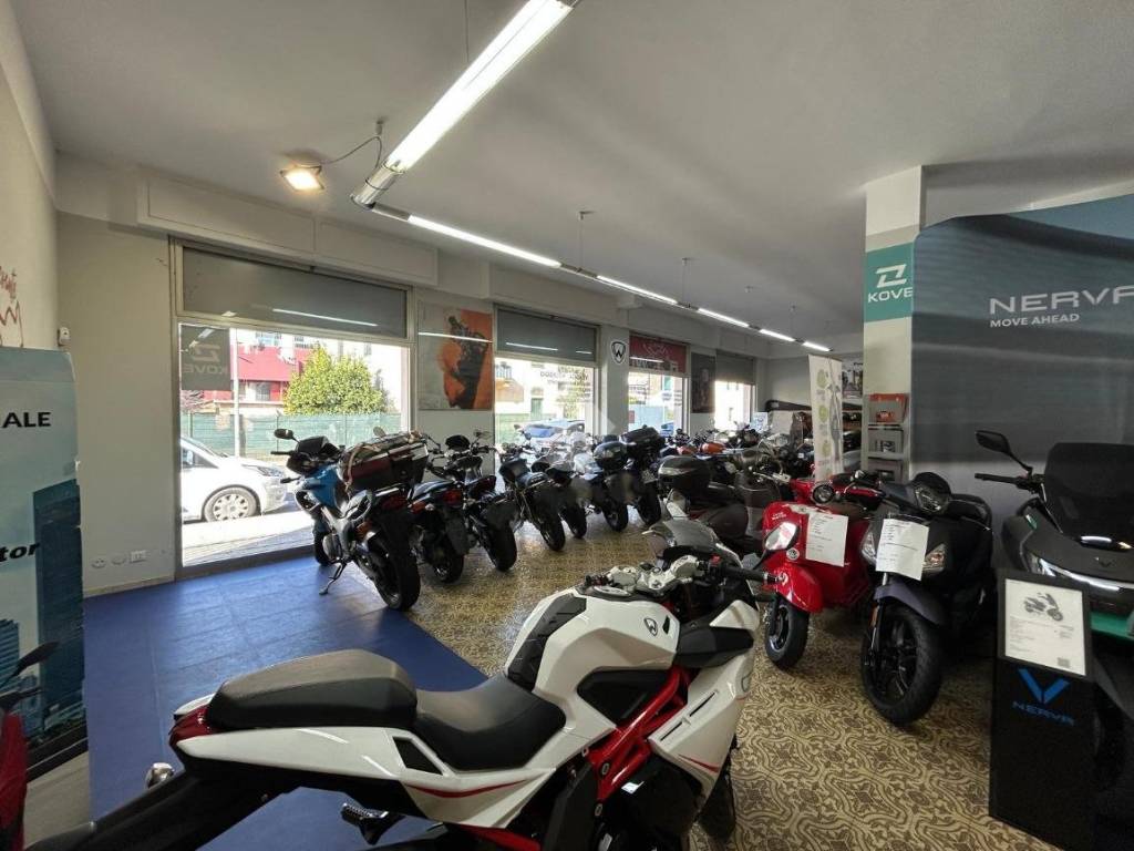 immagine annuncio 3 di 5