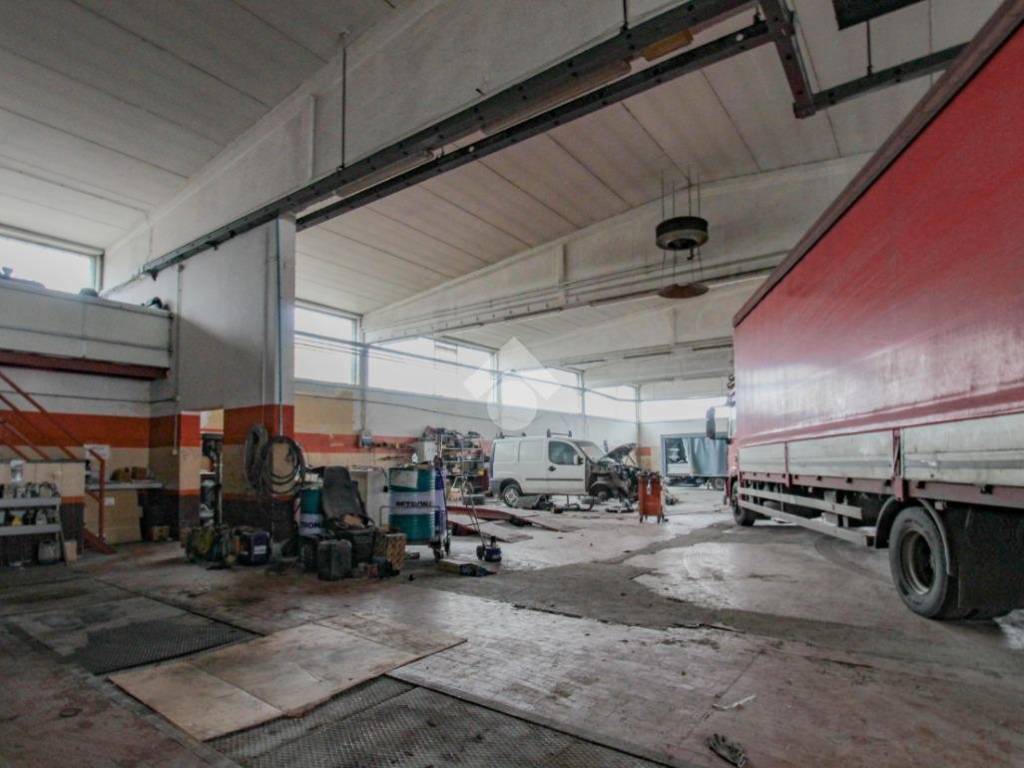 immagine annuncio 2 di 5