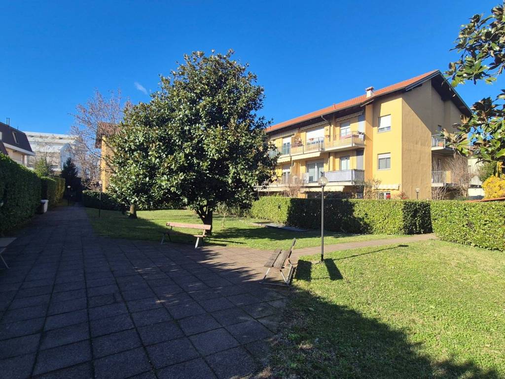 immagine annuncio 2 di 5