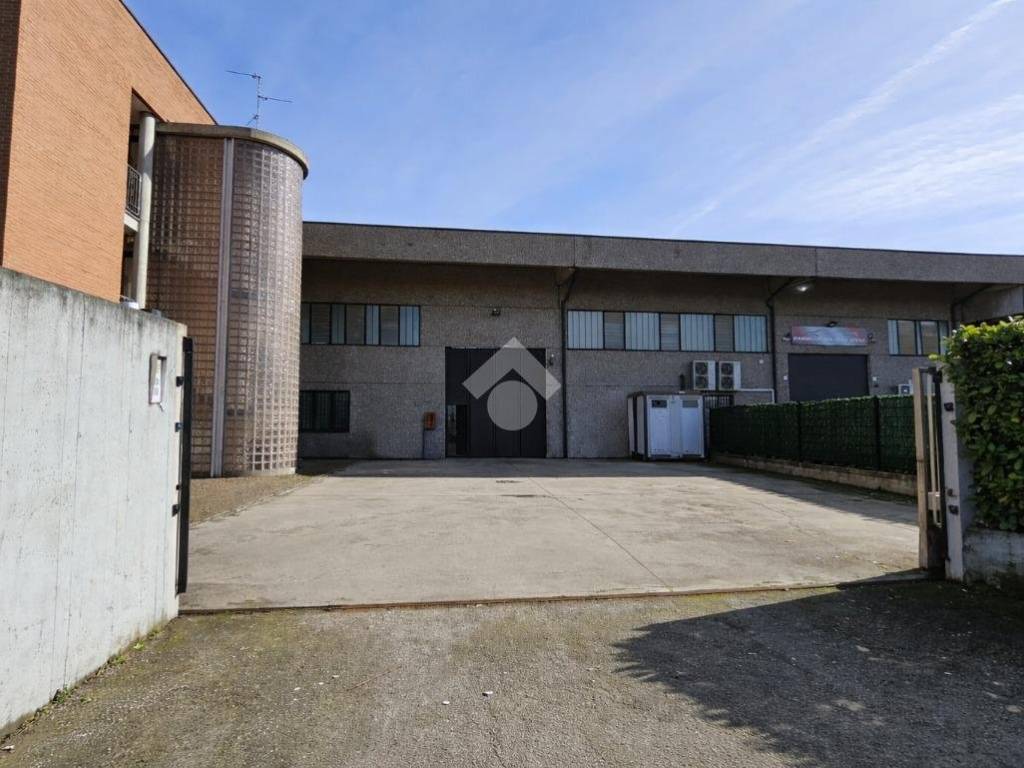 immagine annuncio 2 di 5