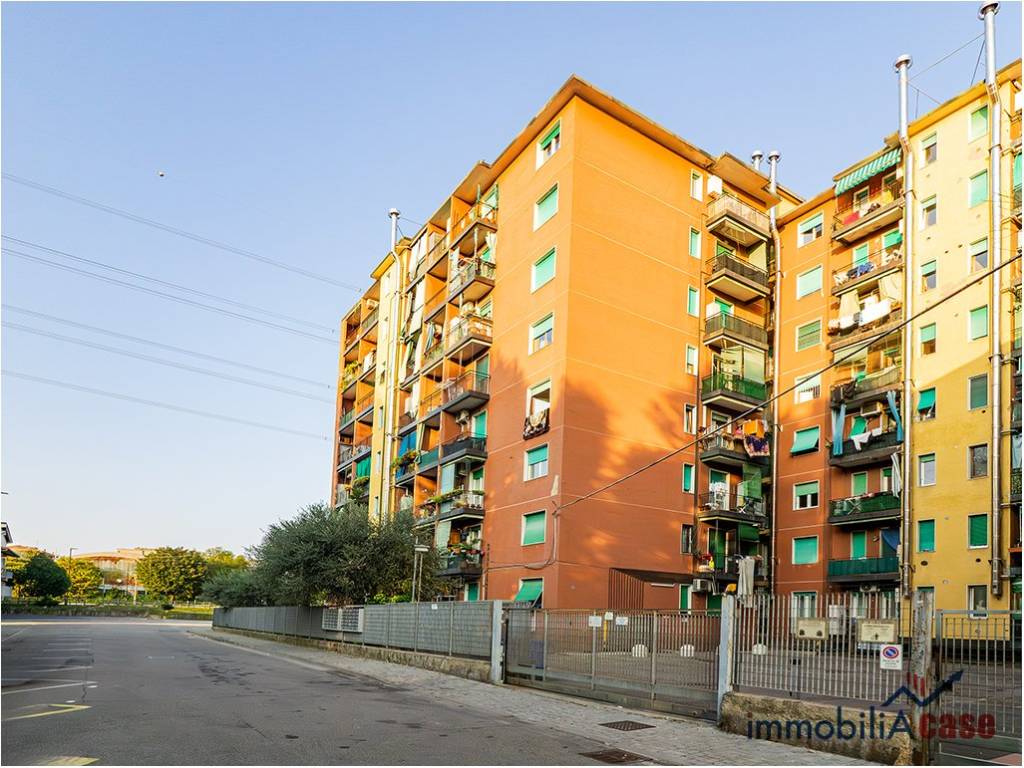 immagine annuncio 1 di 4