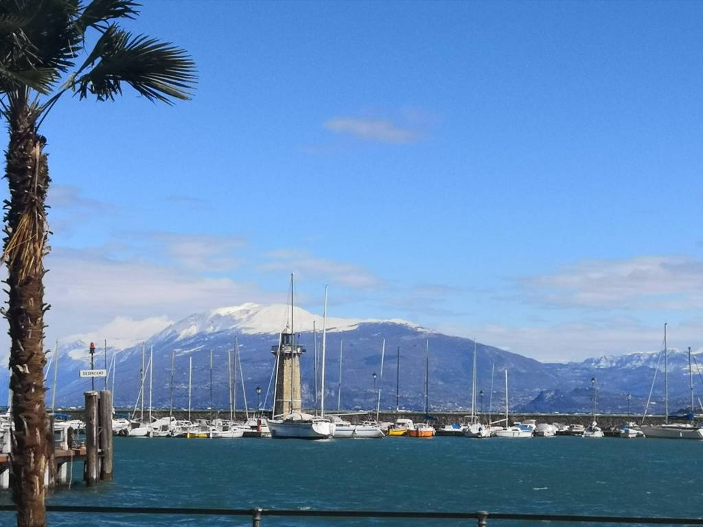 immagine annuncio 1 di 4